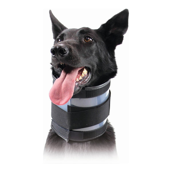 Collare cervicale per cani KVP Nero (10-41 cm)