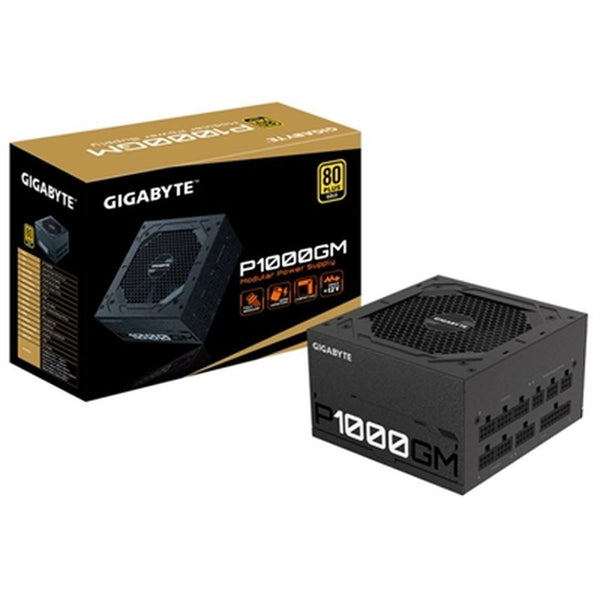 Source Gigabyte GP-P1000GM 1000W