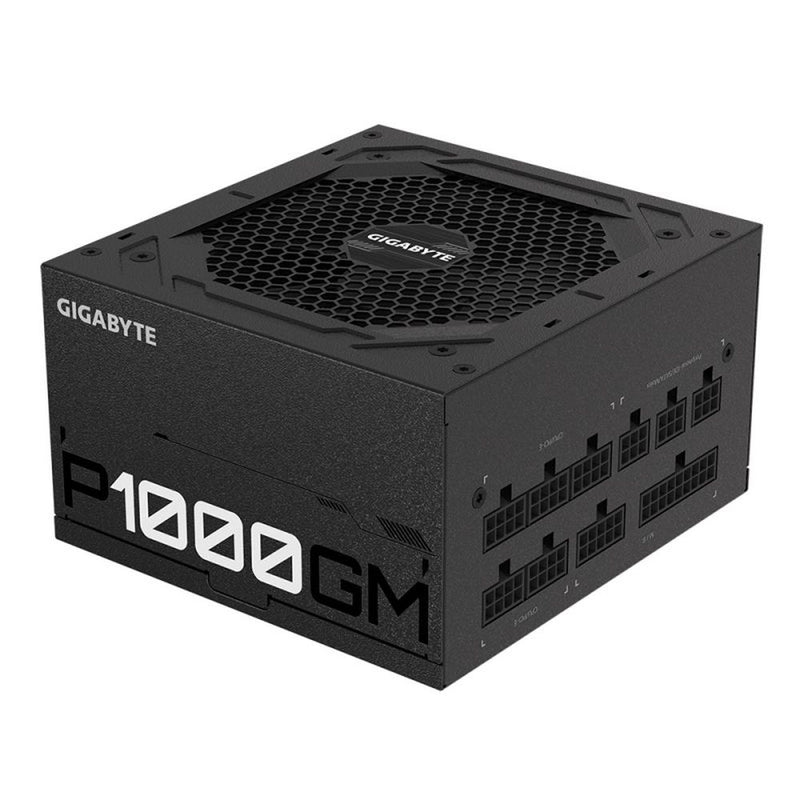 Source Gigabyte GP-P1000GM 1000W