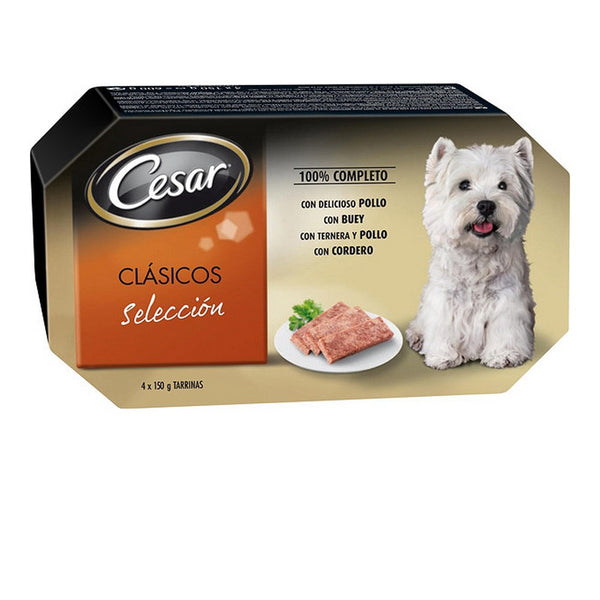 Cibo umido Cesar (4 x 150 g)