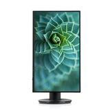 Monitor V7 L238DPH-2KH