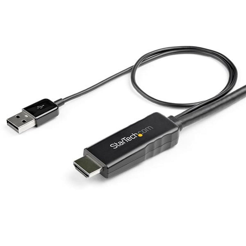 Puerto con HDMI/VGA Startech HD2DPMM2M (2 m) Adaptador VGA negro