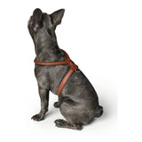 Imbracatura per Cani Hunter Round & Soft Luxus 30 cm Cognac