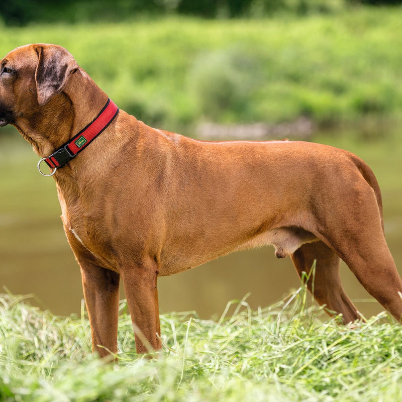 Collare per Cani Hunter Neopren Vario Rosso (35-40 cm)