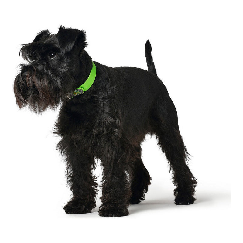 Collare per Cani Hunter Convenience Comfort XS-S Verde (22-30 cm)