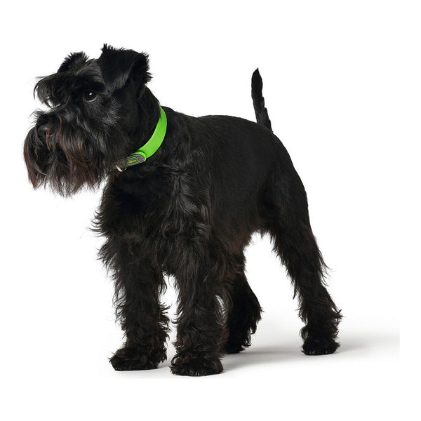 Collare per Cani Hunter Convenience Comfort Taglia S Verde (27-35 cm)