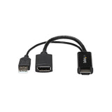 Adattatore DisplayPort con HDMI Startech HD2DP                Nero 4K