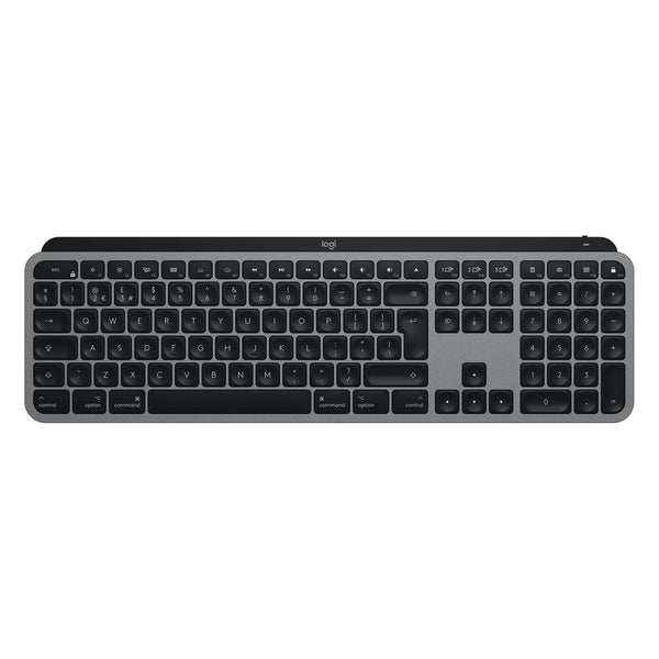 Tastatur Logitech 920-009842          