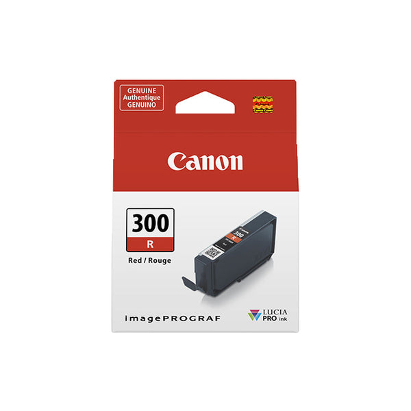 Cartuccia ad Inchiostro Originale Canon 300R