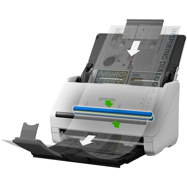 EPSON B11B261401 Escáner