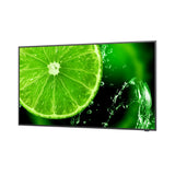 Monitor Videowall NEC E658 LED 65"