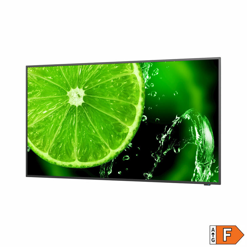 Monitor Videowall NEC E658 LED 65"