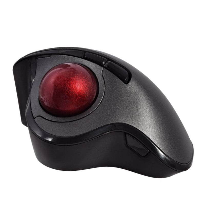 Souris noire v7