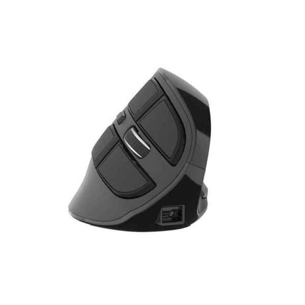 Natec Euphonie 2400 DPI Souris sans fil noir