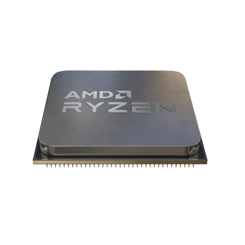 Processeur AMD Ryzen 5 5500 AMD AM4 4,20 GHz