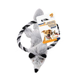 Toys pour chiens de coeurs (18 cm)