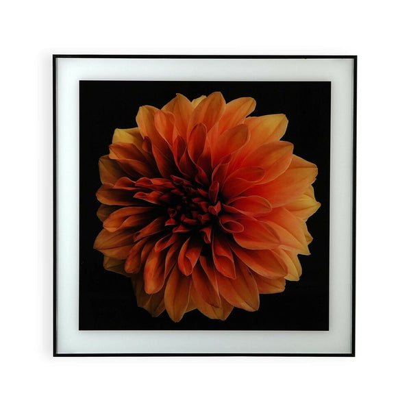 Fleur en verre Polistirene (2 x 60 x 40 cm)