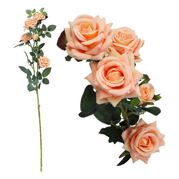 Mazzo da 5 Rose 113045 (85 cm) - zannishop