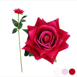 Fiore Decorativo Rosa 1123649 (50 Cm) - zannishop