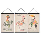 DKD Home Picture Tropical Decor MDF Wood Canvas (3 PCs) (30 x 0,7 x 50 cm)