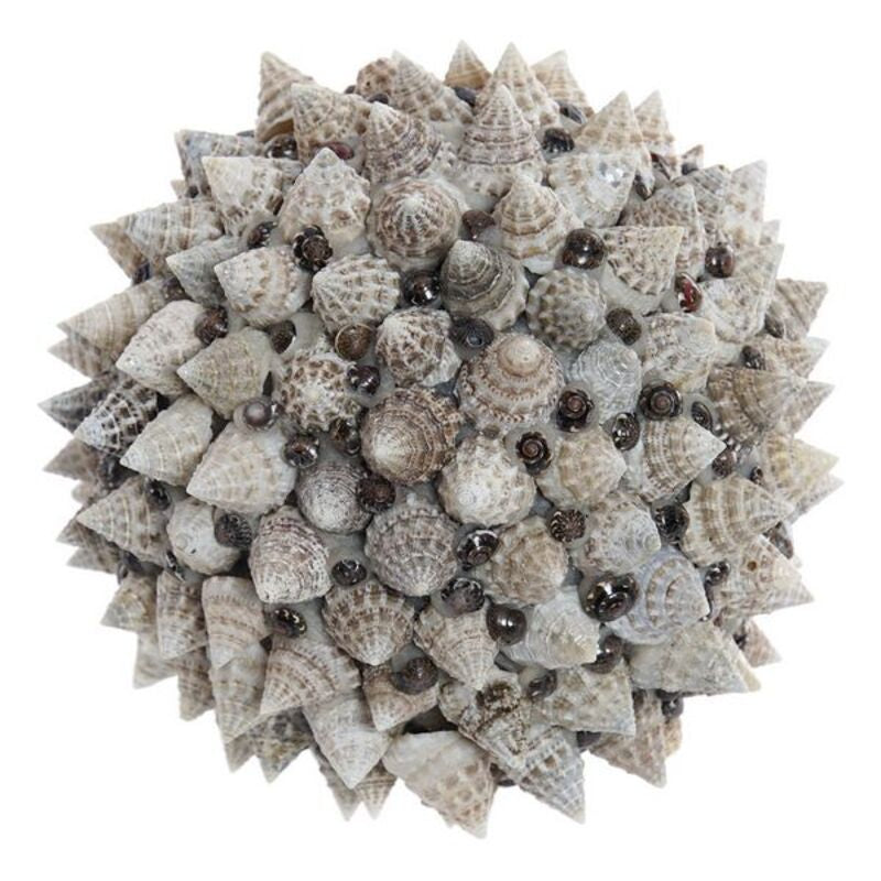 Sfera Decorativa DKD Home Decor Conchiglie Natural (12 x 12 cm) - zannishop