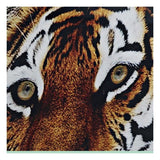 Quadro DKD Home Decor Leopardo Tigru Laccato (2 pcs) (62 x 2 x 92 cm)