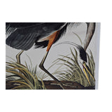 Quadro DKD Home Decor Heron (50 x 1.8 x 70 cm)