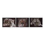 Quadro DKD Home Decor Tiger Animale (3 pcs) (70 x 1.8 x 50 cm)