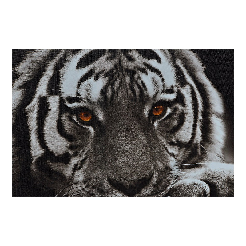 Quadro DKD Home Decor Tiger Animale (3 pcs) (70 x 1.8 x 50 cm)