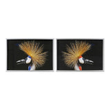 DKD Home Decor Bird Picture (2 pcs) (94 x 3 x 64 cm)