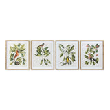 Quadro DKD Home Decor Bird Uccelli (4 pcs) (55 x 2.5 x 70 cm)