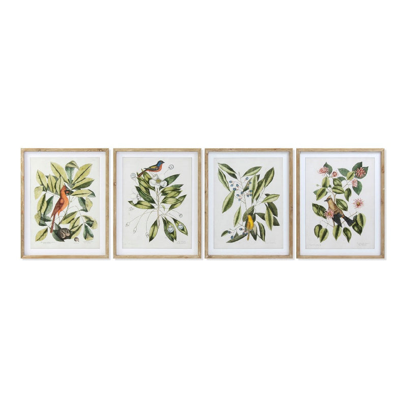 Quadro DKD Home Decor Bird Uccelli (4 pcs) (55 x 2.5 x 70 cm)