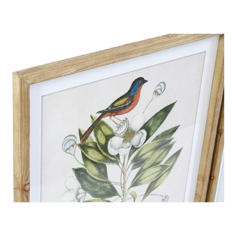 Quadro DKD Home Decor Bird Uccelli (4 pcs) (55 x 2.5 x 70 cm)