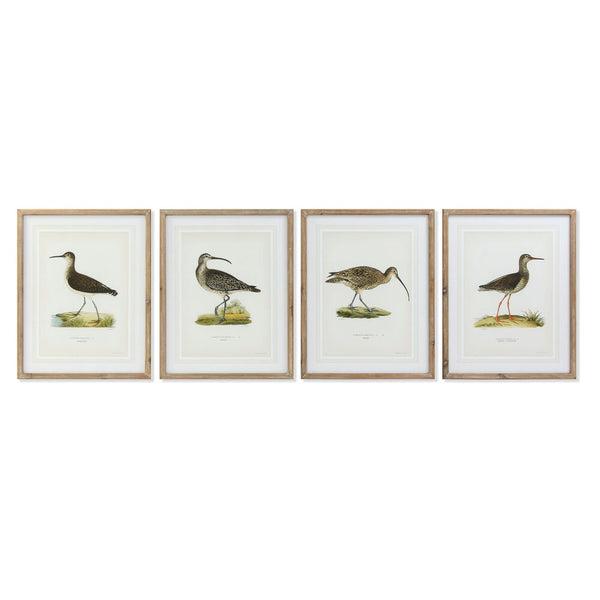 DKD Home Decor Birds Picture (55 x 2,5 x 70 cm) (4 pc)