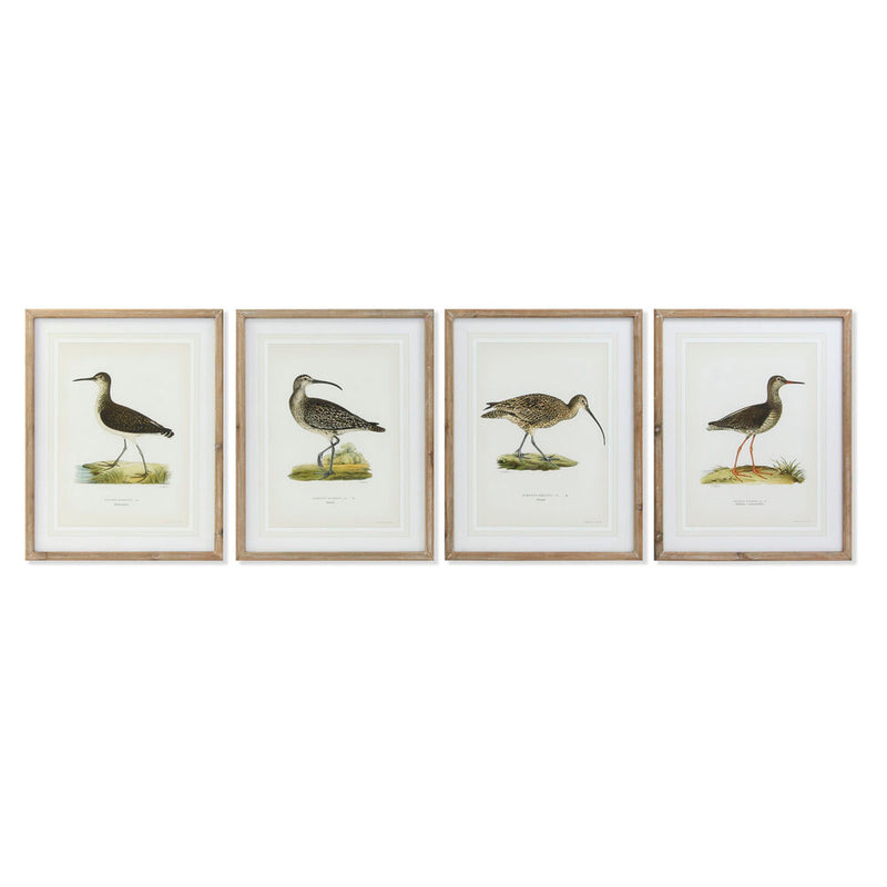 DKD Home Decor Birds Picture (55 x 2,5 x 70 cm) (4 pc)