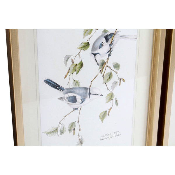 DKD Home Decor Birds Picture (35 x 2,5 x 45 cm) (4 pc)