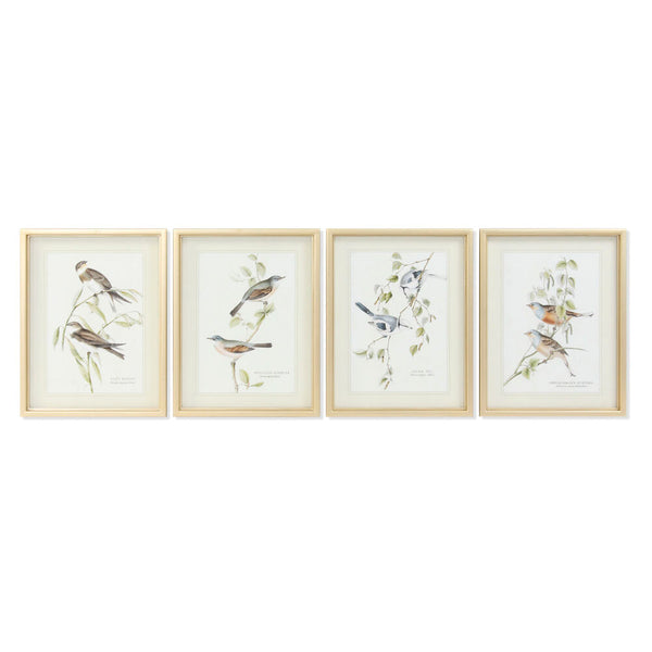 DKD Home Decor Birds Picture (35 x 2,5 x 45 cm) (4 pc)