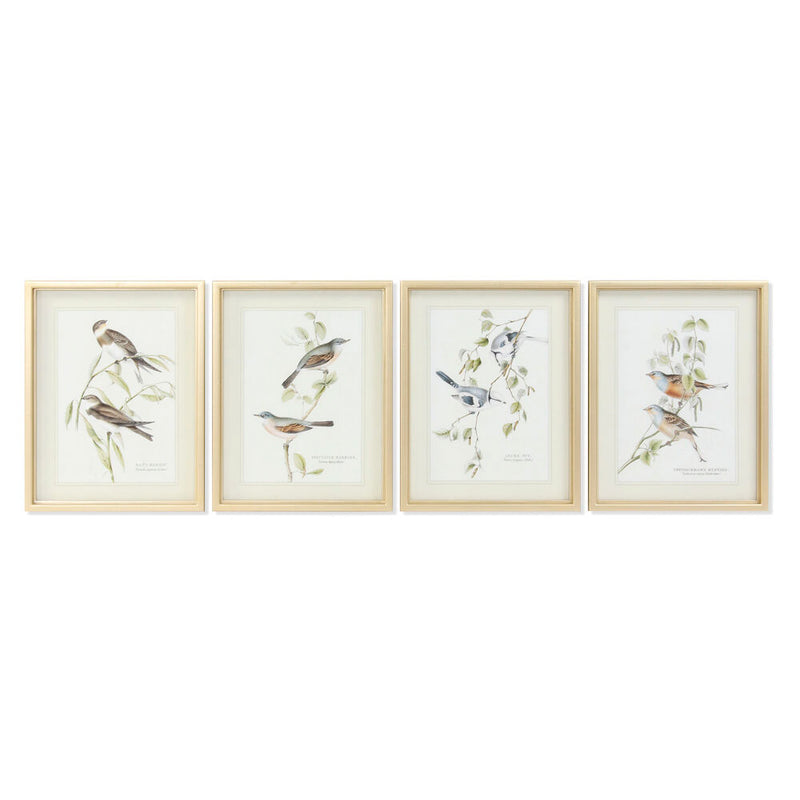 DKD Home Decor Birds Bild (35 x 2,5 x 45 cm) (4 Stcs)