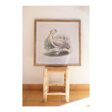 Quadro DKD Home Decor Pelican (2 pcs) (60 x 2 x 60 cm)