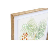 Quadro DKD Home Decor Piante botaniche (50 x 2.8 x 50 cm) (6 pcs) - zannishop