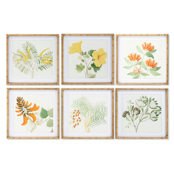 Quadro DKD Home Decor Piante botaniche (50 x 2.8 x 50 cm) (6 pcs) - zannishop