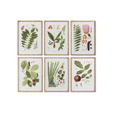 DKD Home Decor Framework Botanical Plants (50 x 2,8 x 70 cm) (6 pc)