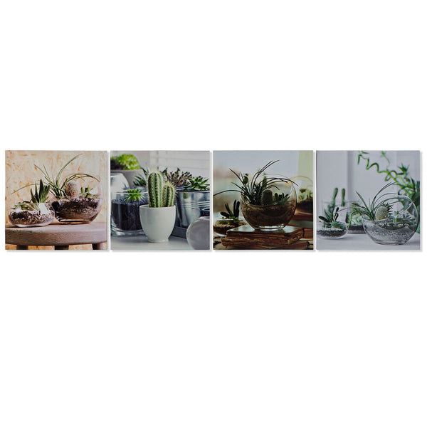 DKD Home Decor Cactus Picture (40 x 1,8 x 40 cm) (4 pc)