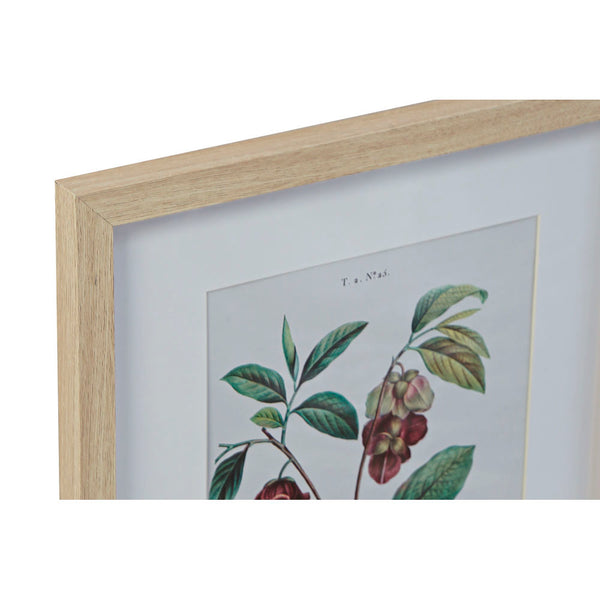 DKD Home Decor Framework Botanische Pflanzen (4 Stcs) (35 x 2 x 45 cm)