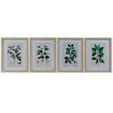 DKD Home Decor Framework Botanical Plants (4 PCS) (35 x 2 x 45 cm)