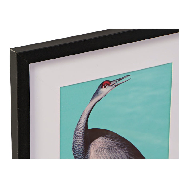 DKD Home Decor Birds Picture (4 pcs) (35 x 2 x 45 cm)