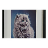 DKD Home Decor Cat and Dog Picture (4 PCS) (35 x 2 x 45 cm)