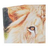 DKD Home Decor Tiger Canvas (4 pcs) (40 x 1,8 x 40 cm)