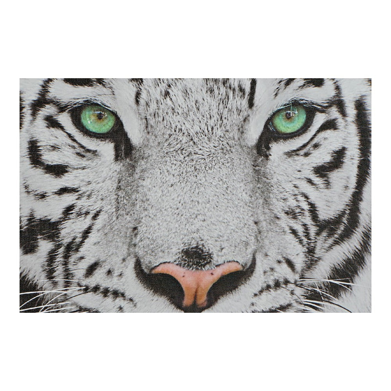 DKD Home Decor Tiger Canvas (4 pcs) (40 x 1,8 x 40 cm)