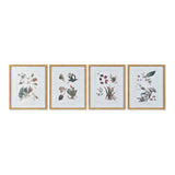 Quadro DKD Home Decor Tela Piante botaniche (4 pcs) (43 x 3 x 53 cm)